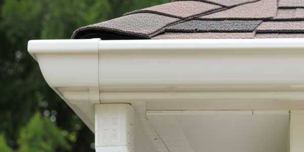 Gutter Professional